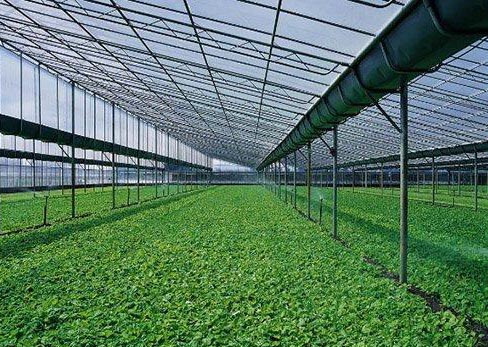 生態農業:有機肥制作方法